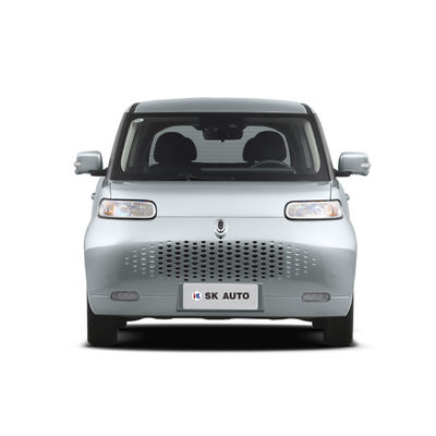 ORA White Cat Mini EV Cars Family Girl New Energy Vehicle 102 km/h