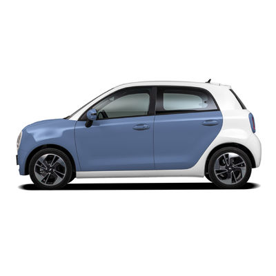 Great Wall ORA R1 Black Cat Electric Car 102km/h High Speed