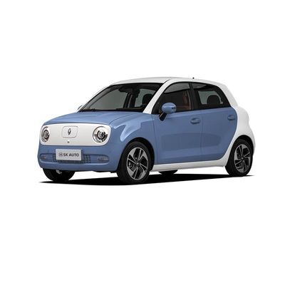Great Wall ORA R1 Black Cat Electric Car 102km/h High Speed